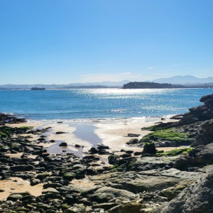 – 6776062262931819354